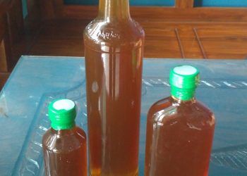 Manfaat Vitamin D untuk Kesehatan