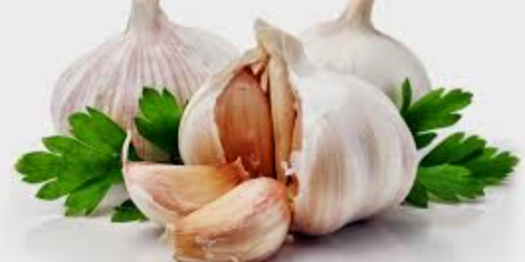 Manfaat Bawang Putih Tunggal untuk Kesehatan Tubuh