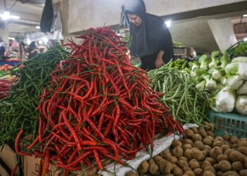 Harga Cabai dan Bahan Pokok Turun di Padang Panjang, Warga Sedikit Lega