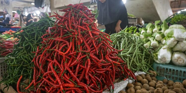 Harga Cabai dan Bahan Pokok Turun di Padang Panjang, Warga Sedikit Lega