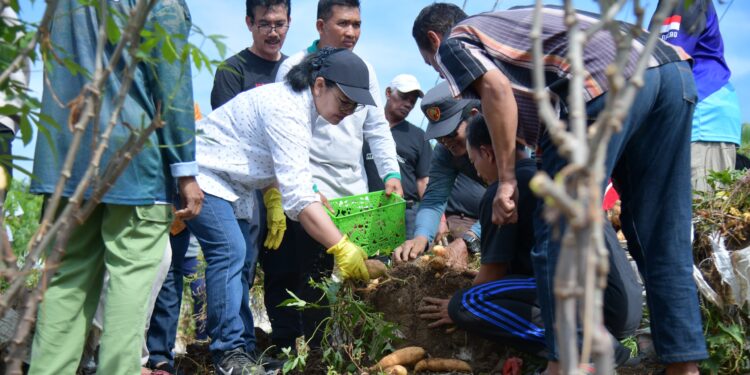 Wali Kota Semarang Tanam Singkong & Ubi untuk Ketahanan Pangan Kota