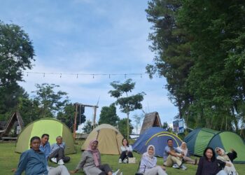 Pinusia Park Hadirkan Pengalaman Wellness Tourism yang Menyatu dengan Alam