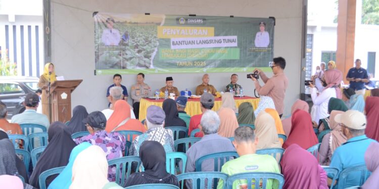 BLT Cukai Tembakau Gresik Disalurkan, Ribuan Warga Terima Manfaat