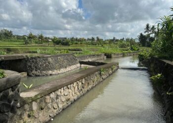 Kementerian PU Rehabilitasi Jaringan Irigasi DAS Sungi