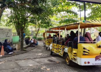 Liburan Akhir Tahun di Semarang Zoo, Ada Zoonderland dan Forest Track Edukatif