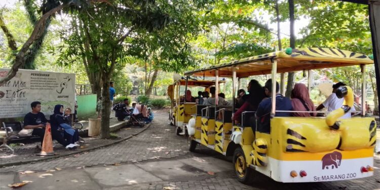 Liburan Akhir Tahun di Semarang Zoo, Ada Zoonderland dan Forest Track Edukatif