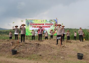 Polres Demak Tanam 500 Pohon Jati di Wonosekar untuk Mitigasi Bencana dan Lestarikan Lingkungan